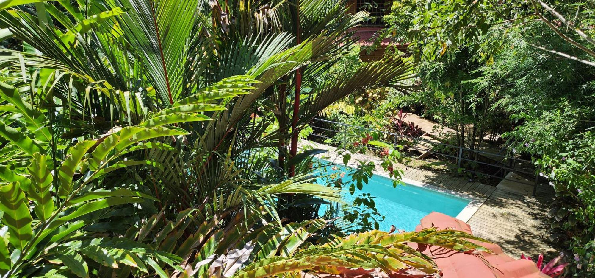 Boutique Hotel y Spa Tangara Azul Ojochal Extérieur photo